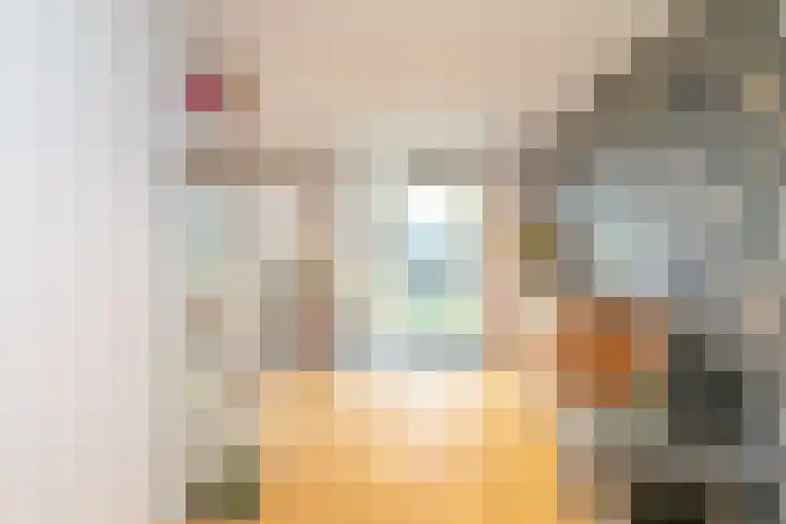 Rijvoortshoef 226 Raamsdonksveer thumbnail 22