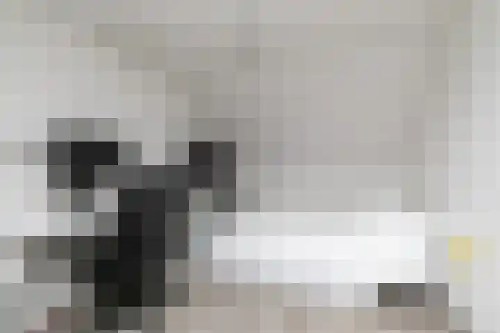 Rijvoortshoef 226 Raamsdonksveer thumbnail 28