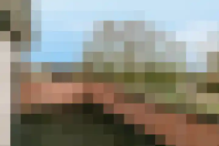 Rijvoortshoef 226 Raamsdonksveer thumbnail 30