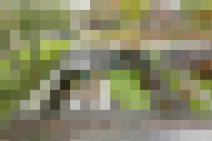 Rijvoortshoef 226 Raamsdonksveer thumbnail 31