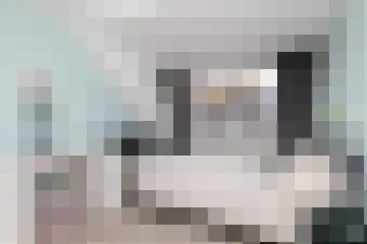 Rijvoortshoef 226 Raamsdonksveer thumbnail 32