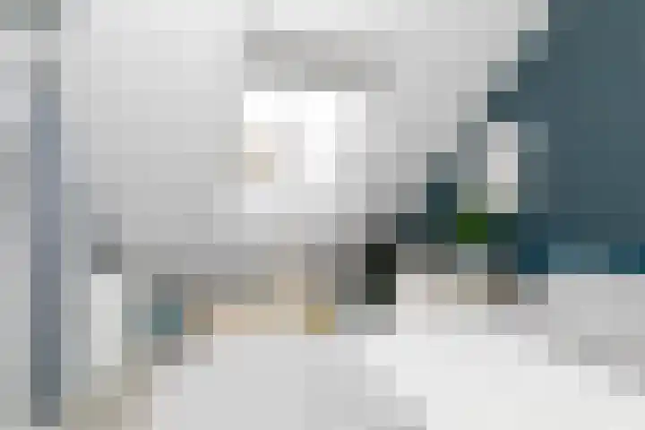 Rijvoortshoef 226 Raamsdonksveer thumbnail 34