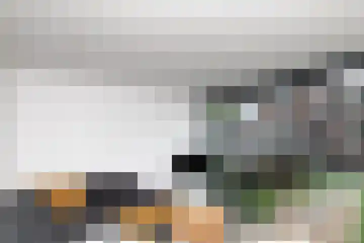 Rijvoortshoef 226 Raamsdonksveer thumbnail 39