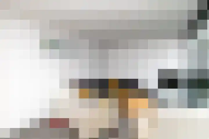 Rijvoortshoef 226 Raamsdonksveer thumbnail 40