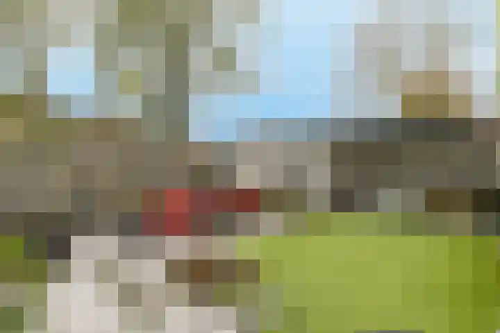 Rijvoortshoef 226 Raamsdonksveer thumbnail 41