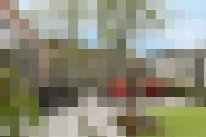 Rijvoortshoef 226 Raamsdonksveer thumbnail 42
