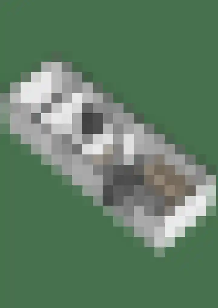 Rijvoortshoef 226 Raamsdonksveer thumbnail 50