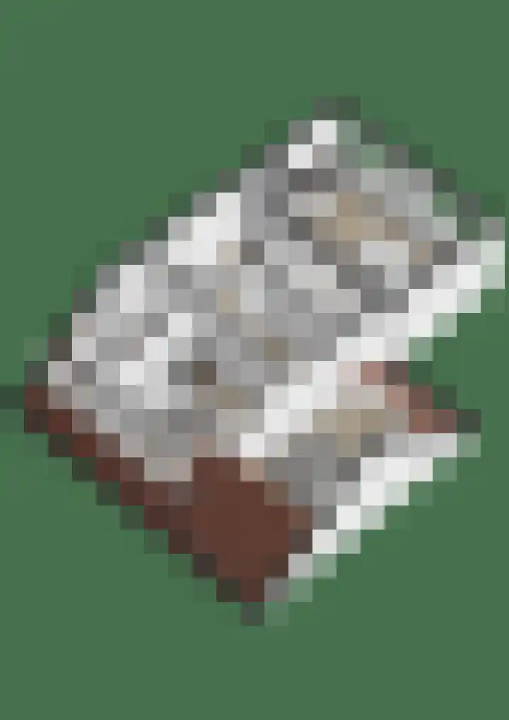 Rijvoortshoef 226 Raamsdonksveer thumbnail 51