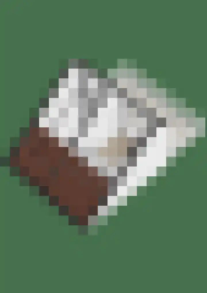 Rijvoortshoef 226 Raamsdonksveer thumbnail 52