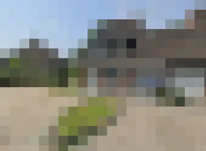 Rijvoortshoef 226 Raamsdonksveer thumbnail 6