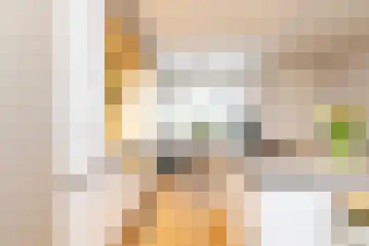 Rijvoortshoef 226 Raamsdonksveer thumbnail 8