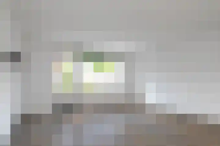 Rijvoortshoef 240 Raamsdonksveer thumbnail 11
