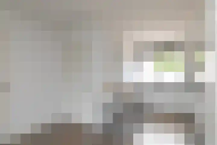 Rijvoortshoef 240 Raamsdonksveer thumbnail 13
