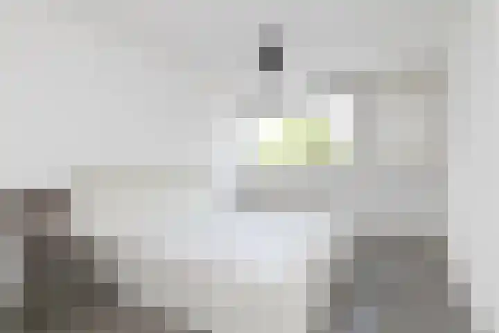 Rijvoortshoef 240 Raamsdonksveer thumbnail 19