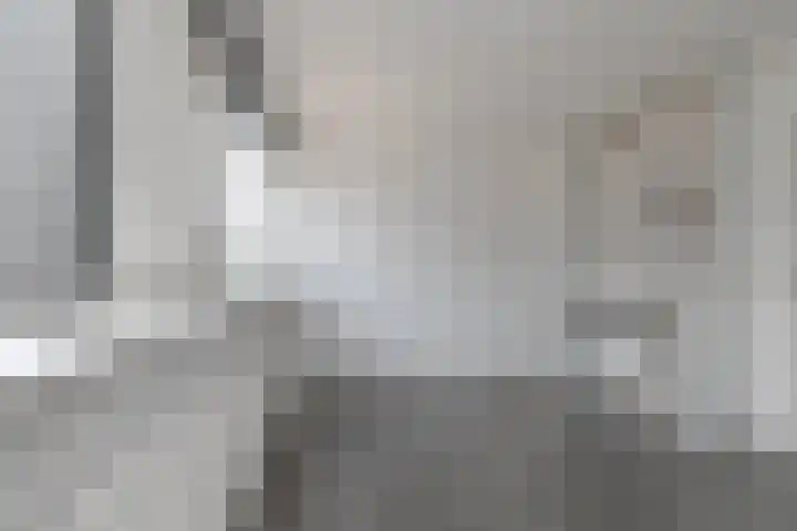 Rijvoortshoef 240 Raamsdonksveer thumbnail 21