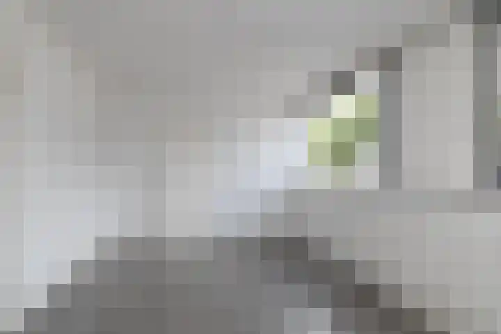 Rijvoortshoef 240 Raamsdonksveer thumbnail 22