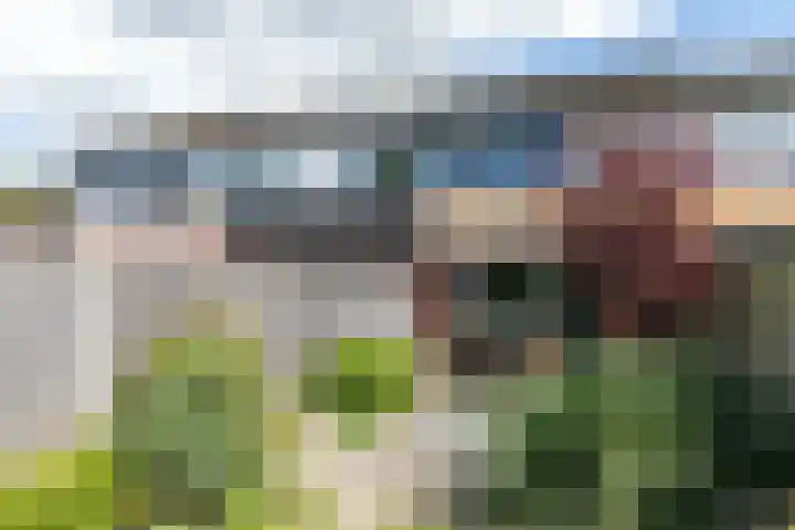 Rijvoortshoef 240 Raamsdonksveer thumbnail 28