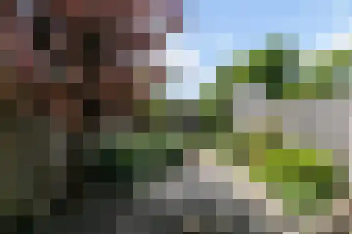 Rijvoortshoef 240 Raamsdonksveer thumbnail 31