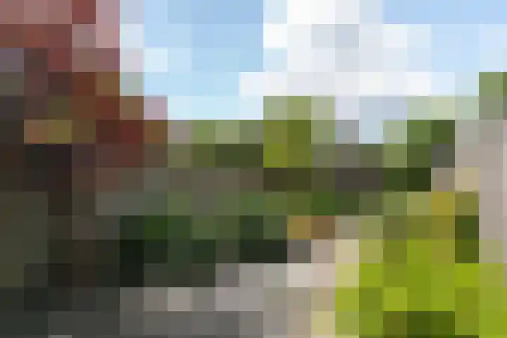 Rijvoortshoef 240 Raamsdonksveer thumbnail 32