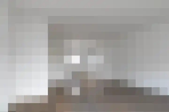 Rijvoortshoef 240 Raamsdonksveer thumbnail 9