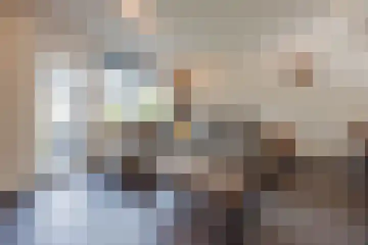 Rijvoortshoef 256 Raamsdonksveer thumbnail 14