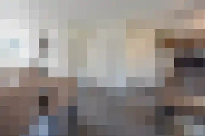 Rijvoortshoef 256 Raamsdonksveer thumbnail 16
