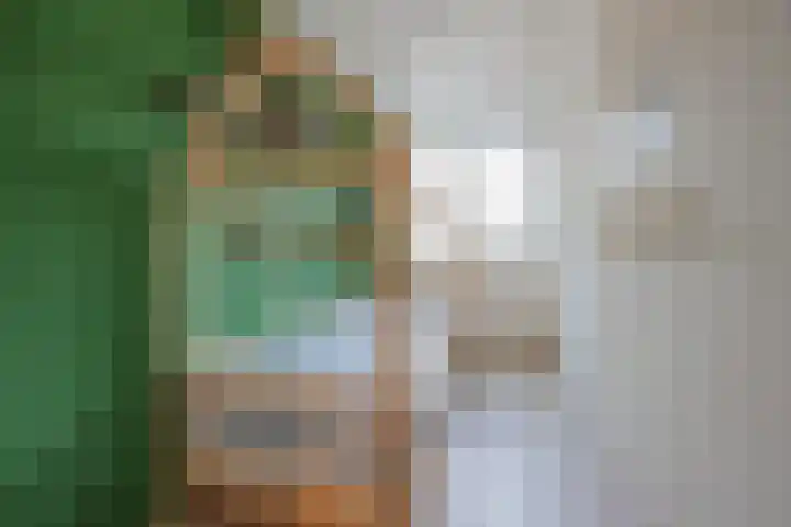 Rijvoortshoef 256 Raamsdonksveer thumbnail 22