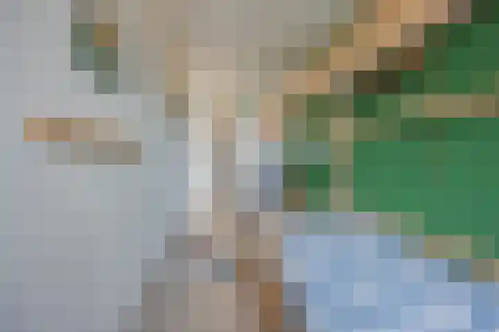 Rijvoortshoef 256 Raamsdonksveer thumbnail 23