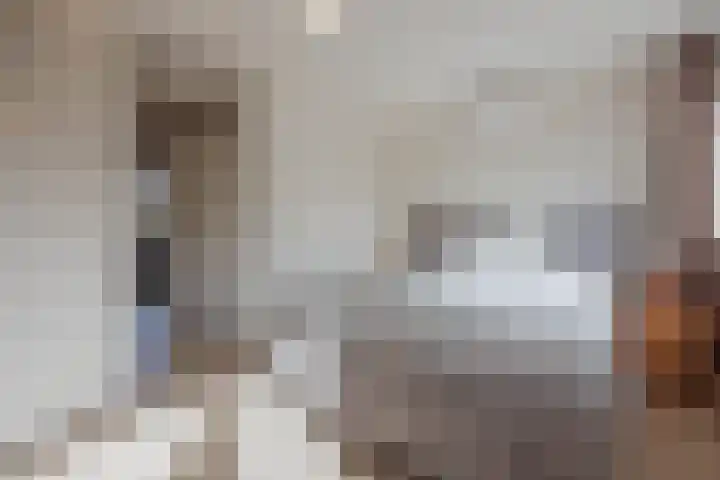 Rijvoortshoef 256 Raamsdonksveer thumbnail 30