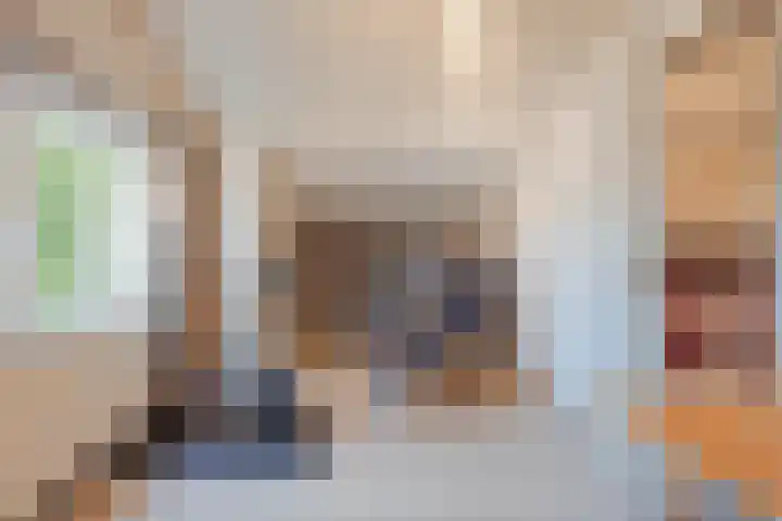 Rijvoortshoef 256 Raamsdonksveer thumbnail 33