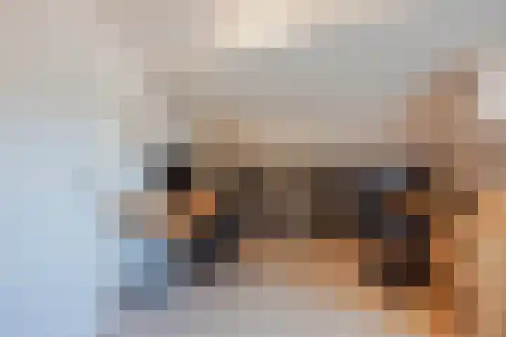 Rijvoortshoef 256 Raamsdonksveer thumbnail 34