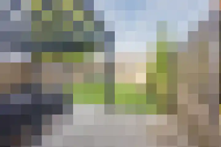 Rijvoortshoef 256 Raamsdonksveer thumbnail 37