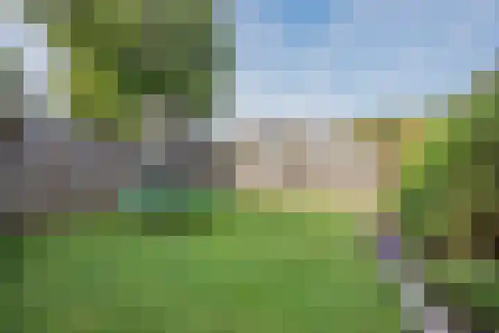 Rijvoortshoef 256 Raamsdonksveer thumbnail 38