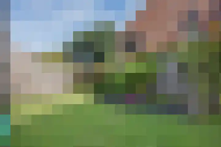 Rijvoortshoef 256 Raamsdonksveer thumbnail 39
