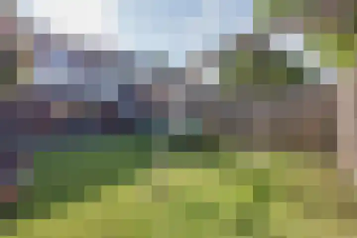 Rijvoortshoef 256 Raamsdonksveer thumbnail 41