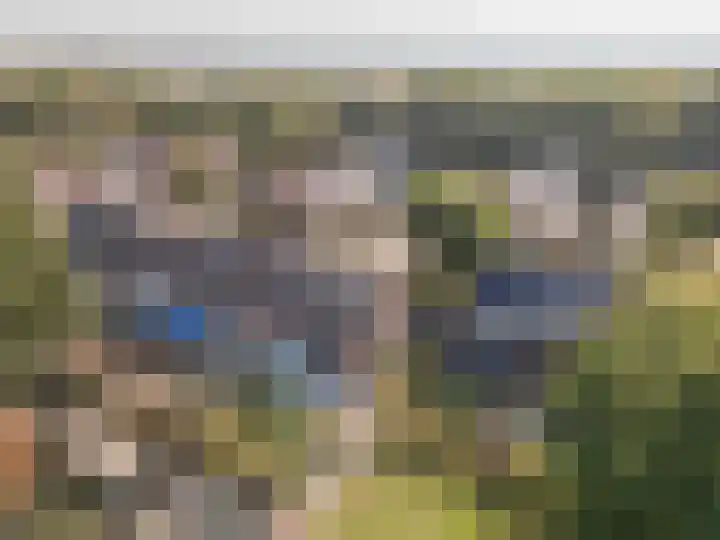 Rijvoortshoef 256 Raamsdonksveer thumbnail 42