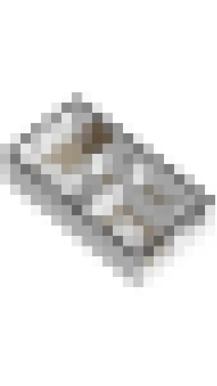 Rijvoortshoef 256 Raamsdonksveer thumbnail 49