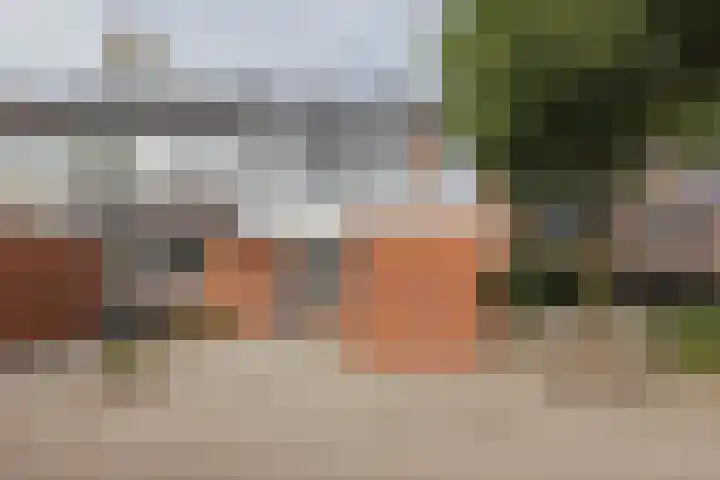 Rijvoortshoef 256 Raamsdonksveer thumbnail 6