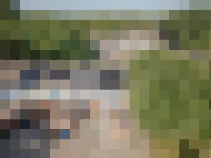 Rijvoortshoef 256 Raamsdonksveer thumbnail 7