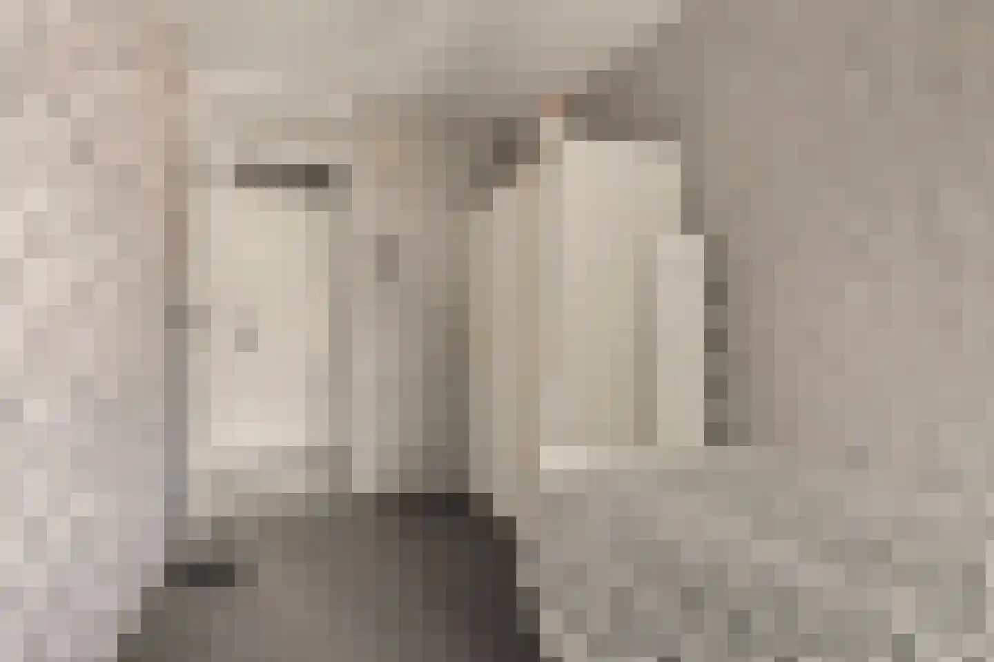 Rijvoortshoef 260 Raamsdonksveer thumbnail 18