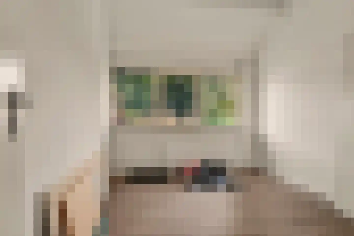 Rijvoortshoef 260 Raamsdonksveer thumbnail 21