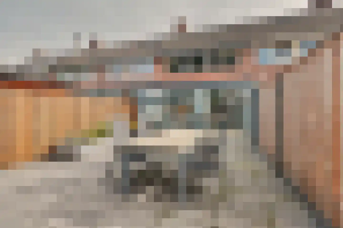 Rijvoortshoef 260 Raamsdonksveer thumbnail 28