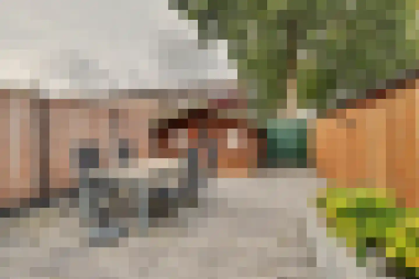 Rijvoortshoef 260 Raamsdonksveer thumbnail 30