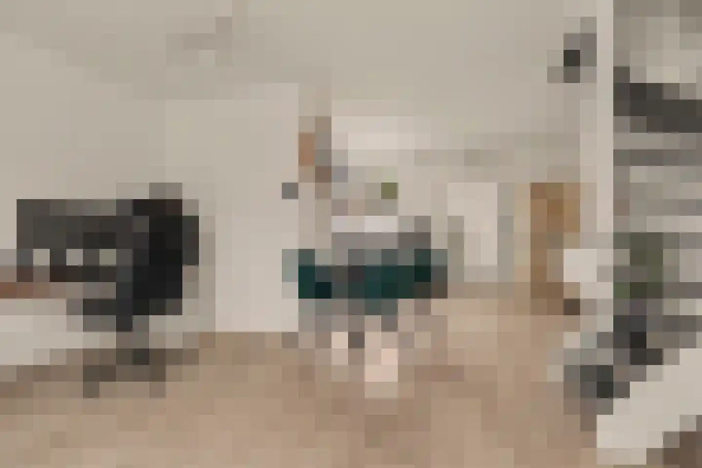 Rijvoortshoef 260 Raamsdonksveer thumbnail 7