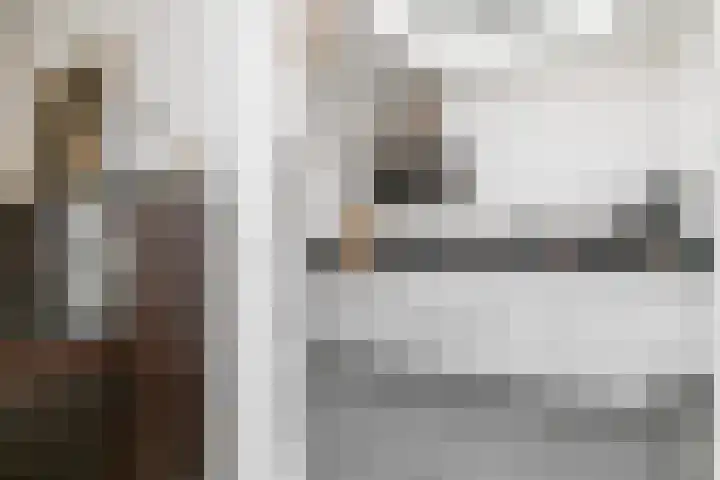 Rijvoortshoef 270 Raamsdonksveer thumbnail 16
