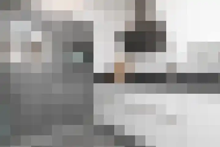 Rijvoortshoef 270 Raamsdonksveer thumbnail 18