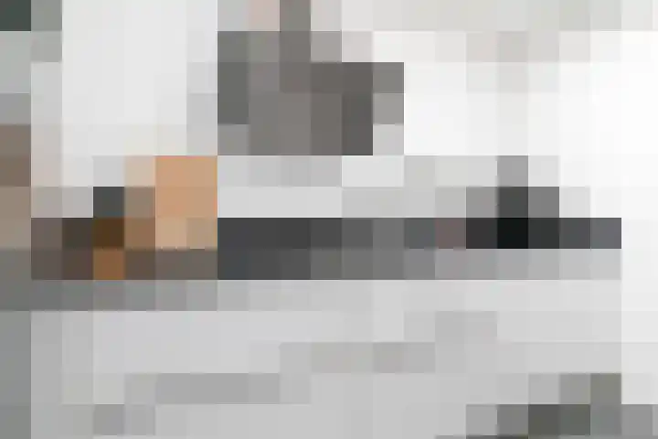 Rijvoortshoef 270 Raamsdonksveer thumbnail 21