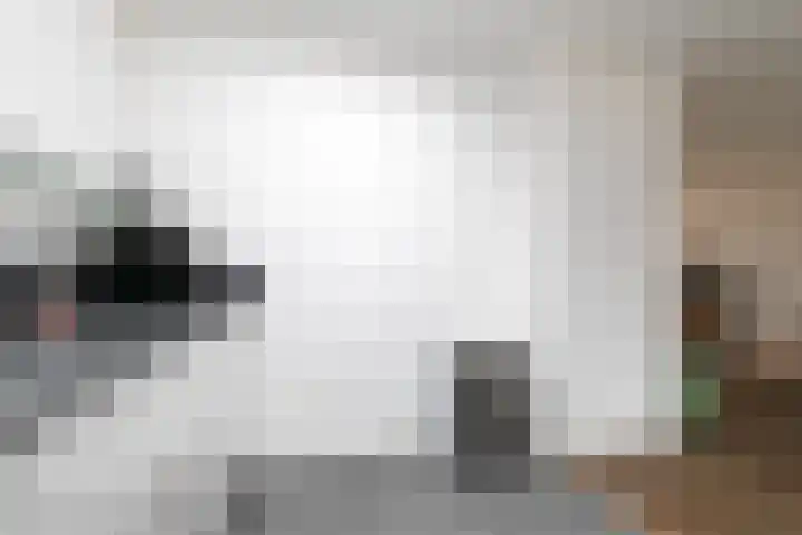 Rijvoortshoef 270 Raamsdonksveer thumbnail 22