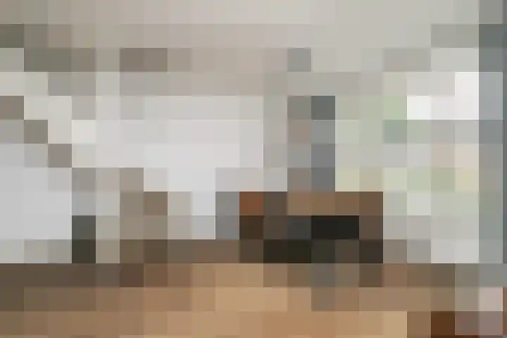 Rijvoortshoef 270 Raamsdonksveer thumbnail 25