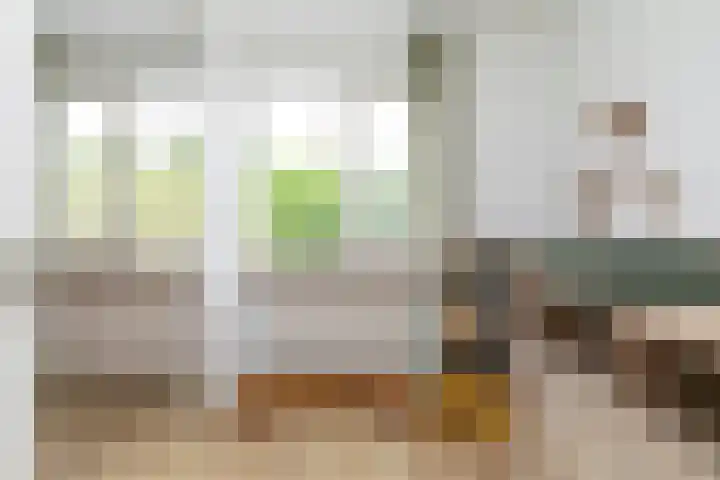Rijvoortshoef 270 Raamsdonksveer thumbnail 34